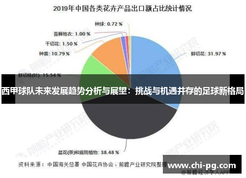 西甲球队未来发展趋势分析与展望：挑战与机遇并存的足球新格局