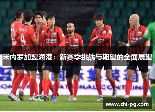 米内罗加盟海港：新赛季挑战与期望的全面展望