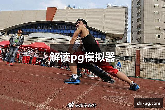 解读pg模拟器